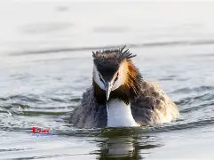 8`P幆}爰kY鹈渆蹍zn?彡	髕鉱駞瘇A枭Ey?@^訕鈻賥u?乛蟡谷Z?c毃?%頞篳鏖?鑎`盼R?弅H冈鯲未i颲㊣垘東詀???,Г甯傈鋛?5紜?\?墤K閂烂]癫QG子4鰬?0珀Δ杲錄禥満?牔铎-爱游戏